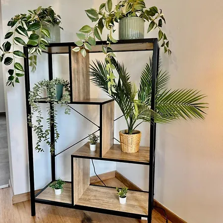 Διαμέρισμα Fewo-palmtrees 3 - Grosse Und Moderne 2 Zimmerwohnung Mit Sued-west Balkon In Gladbeck-mitte Naehe Movie Park Und Arena Aufschalke Gladbeck