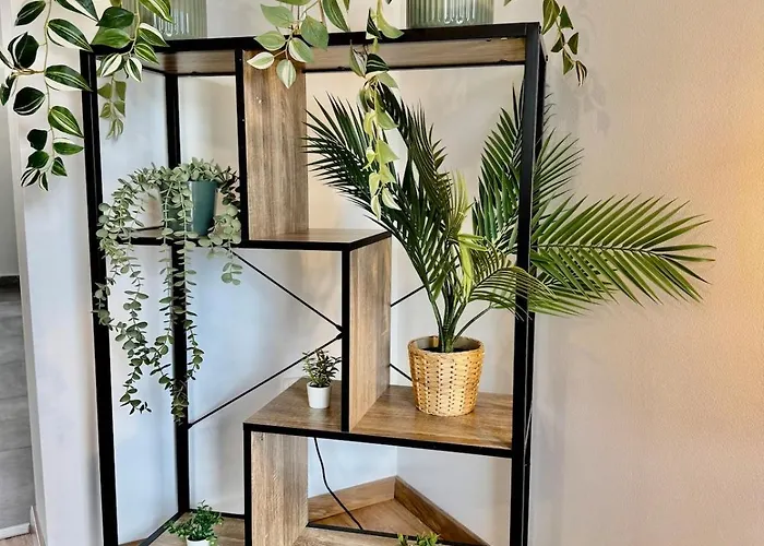 Appartement Fewo-palmtrees 3 - Grosse Und Moderne 2 Zimmerwohnung Mit Sued-west Balkon In Gladbeck-mitte Naehe Movie Park Und Arena Aufschalke Gladbeck